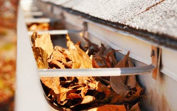 Thorncote Green gutter cleaning companies