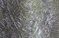 Thorncote Green fibreglass roof work