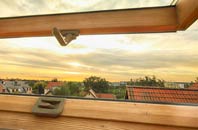 rated Thorncote Green roof window companies